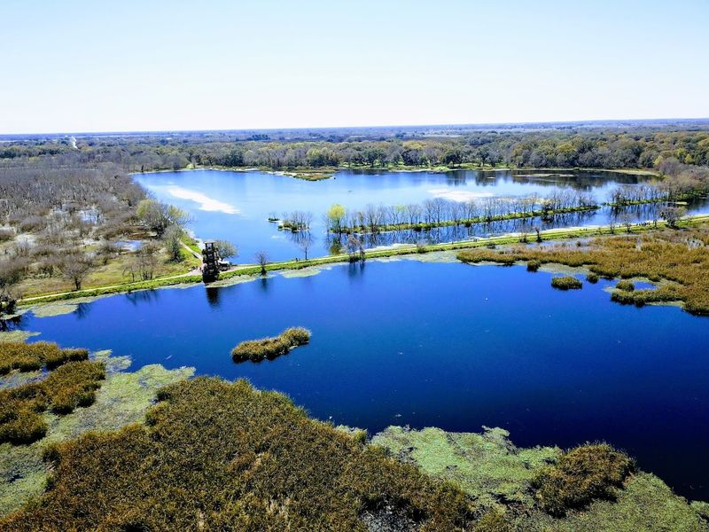 Brazos Bend State Park
