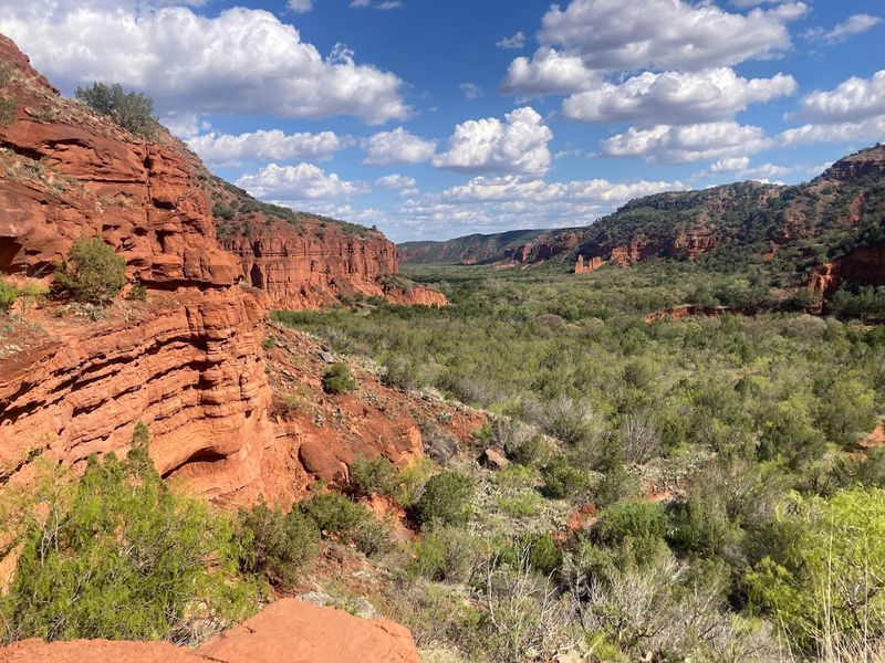 Caprock Canyon State Park &ndash; Rugged trails and real bison roaming free landscapes