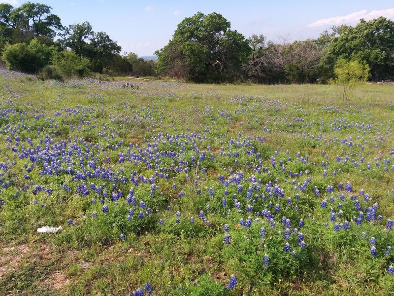 Willow City Loop (Fredericksburg)