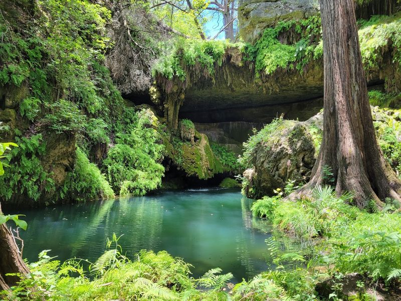 Westcave Preserve (Round Mountain)
