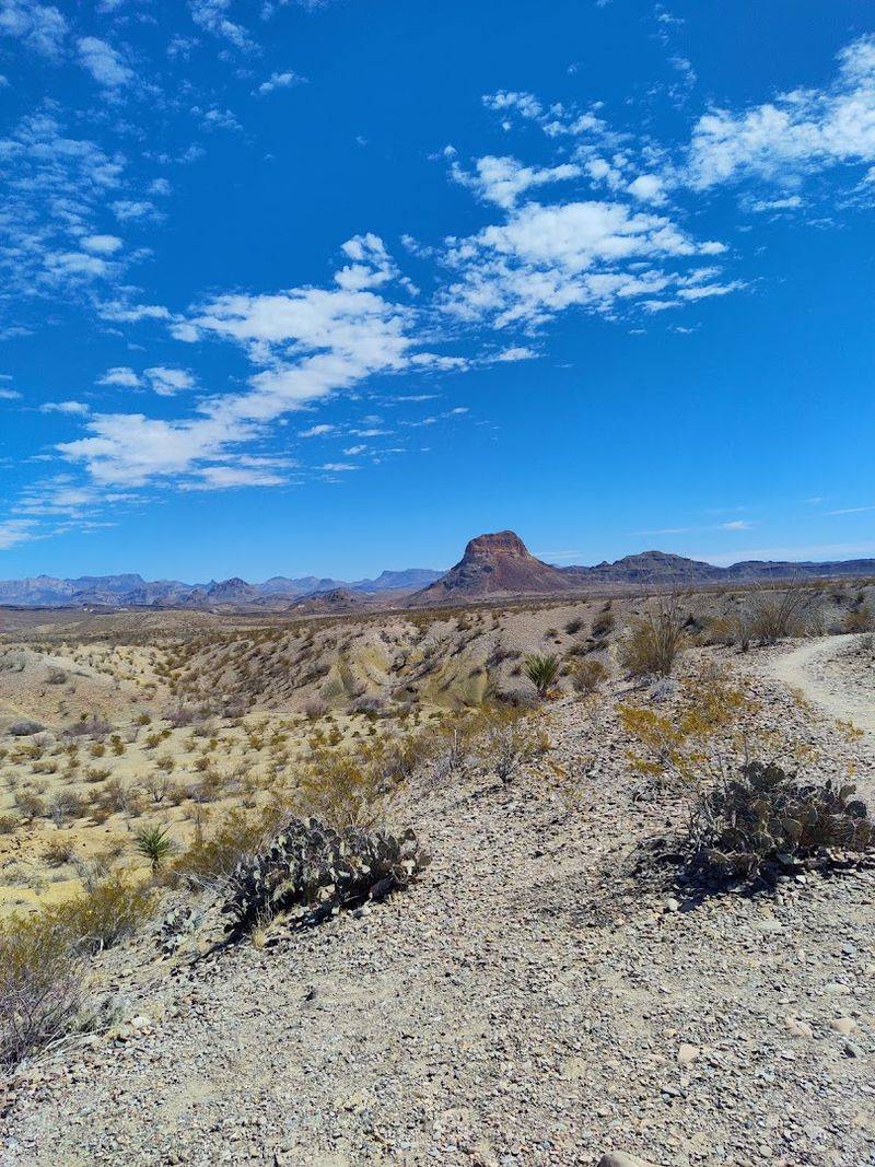 Ross Maxwell Scenic Drive (Big Bend National Park)