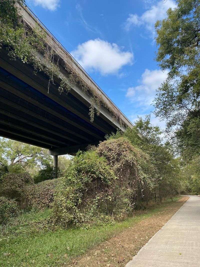 Donkey Lady Bridge (San Antonio)
