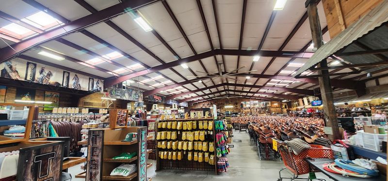 Horse Care Products That Cover Every Possible Need