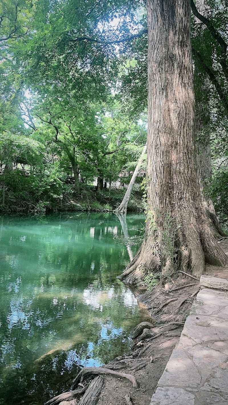 Wimberley: Artist Colony Overwhelmed by Growth