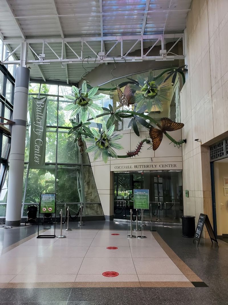 Logistics: Tickets, Parking, and Nearby Perks