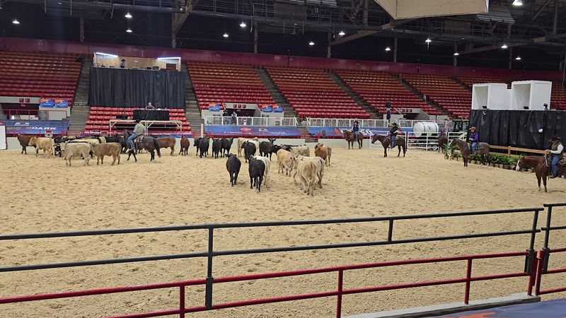 Houston Livestock Show and Rodeo