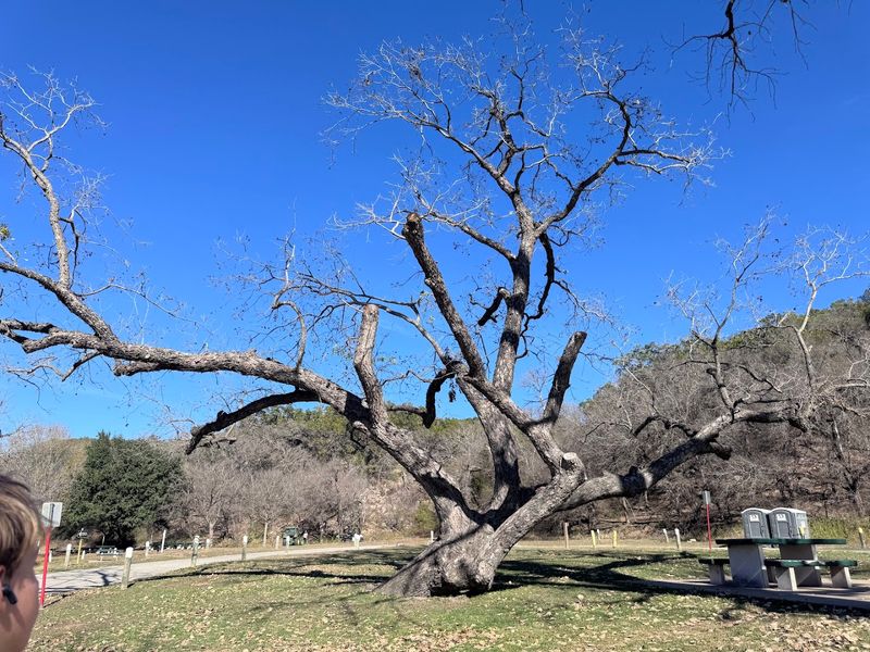 Clean Restrooms And Outdoor Rinse Stations