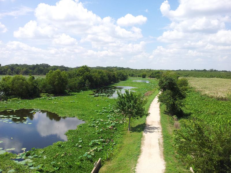 Elm Lake Loop Trail (Needville)