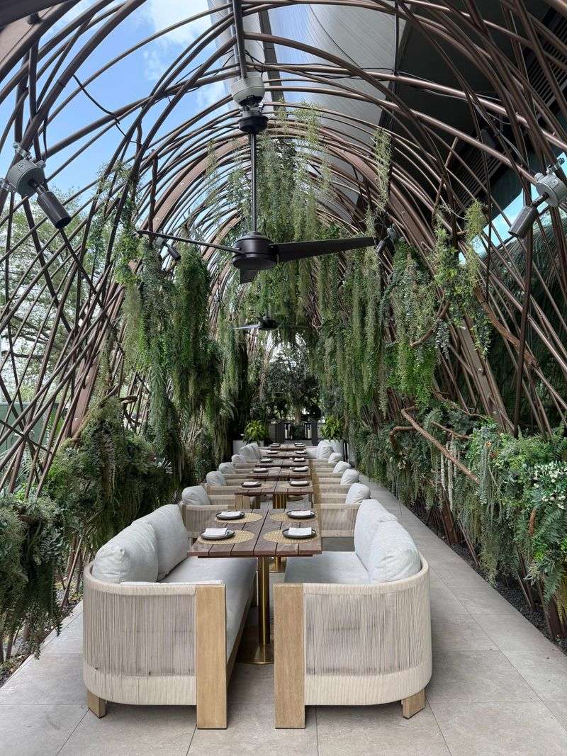 Toca Madera Houston (Houston)