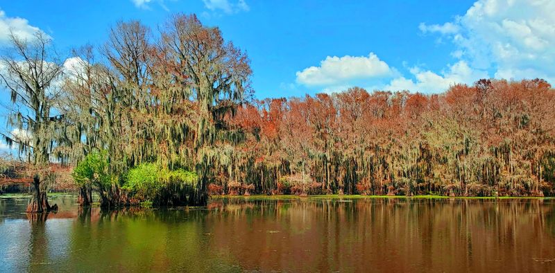 Caddo Lake State Park