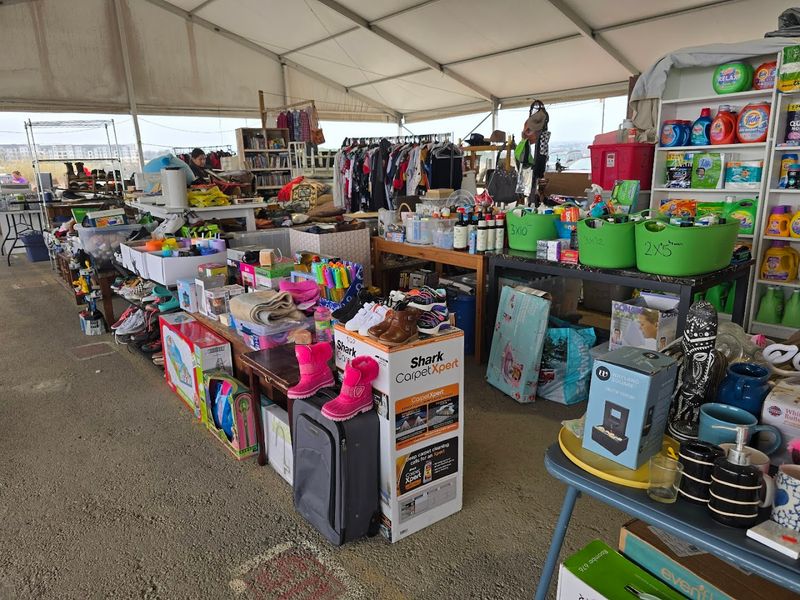Austin Country Flea Market (Austin)