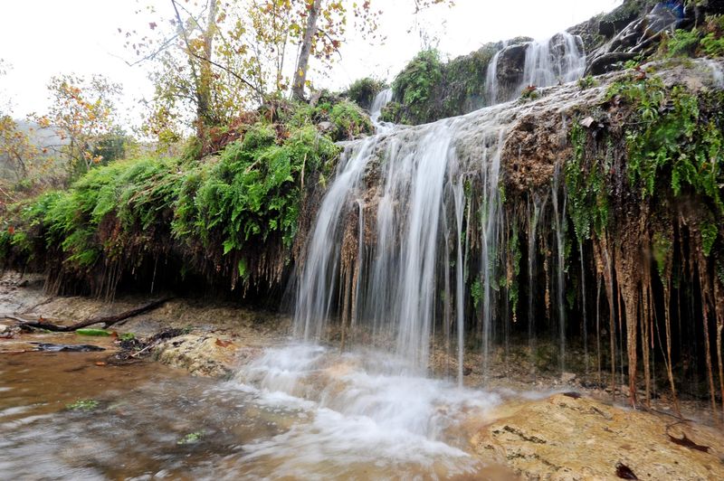 Lost Maples State Natural Area (Vanderpool)