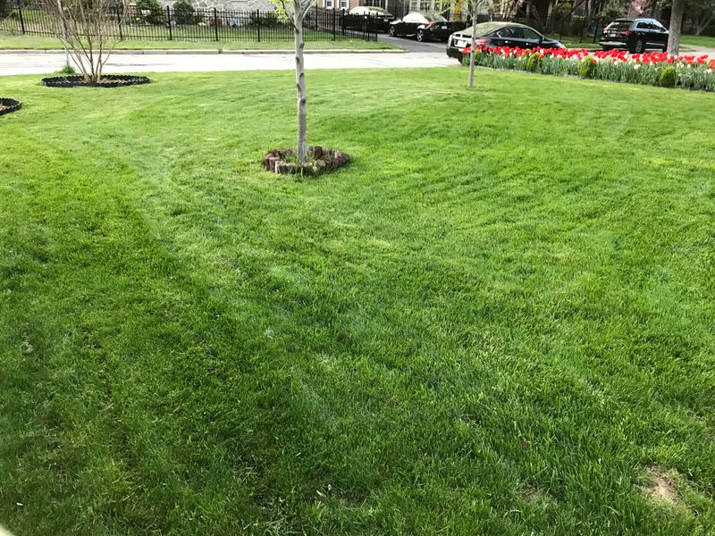 Spacing Applications Four To Six Weeks Apart