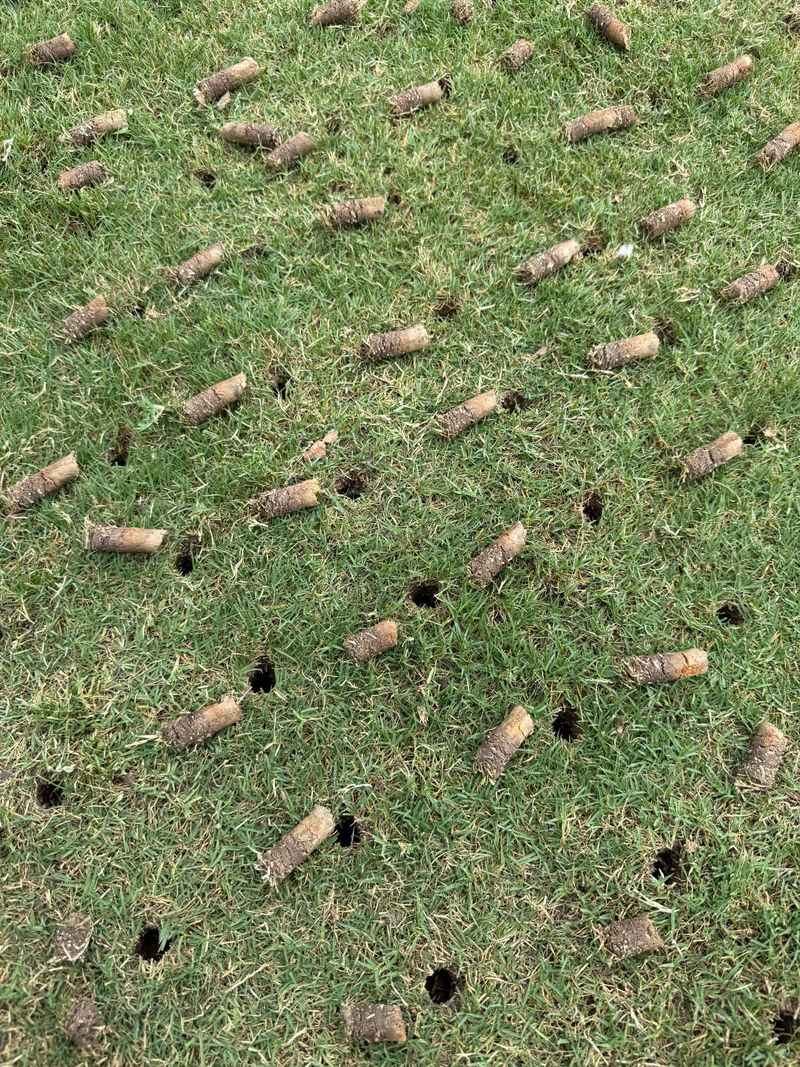 Aerating The Lawn Before The First Feeding