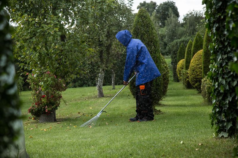 8 Fall Garden Cleanup Habits That Can Affect Pollinators And Birds