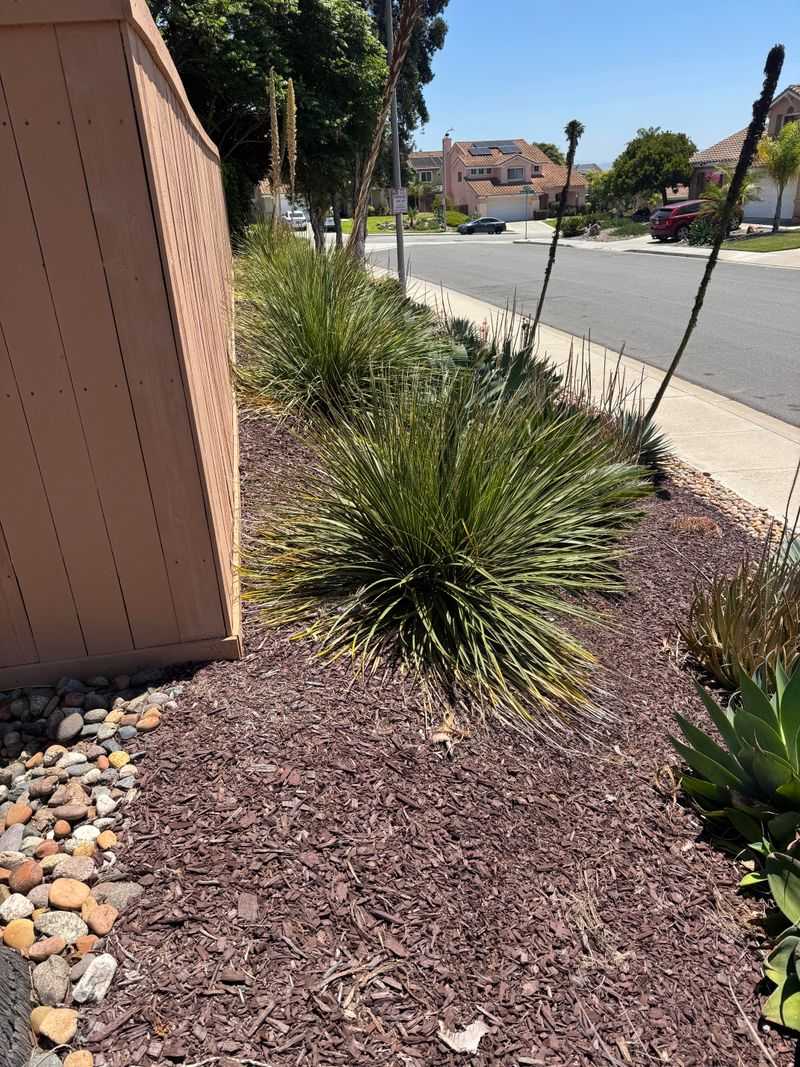 Desert Spoon Sends Up Summer Drama