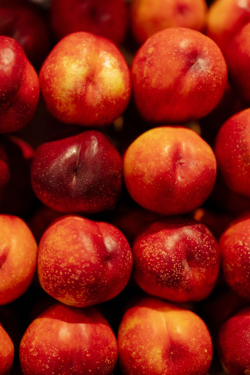 Best Varieties For Illinois Climate And Soil