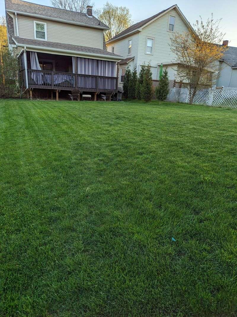 Nitrogen Timing Makes The Biggest Difference