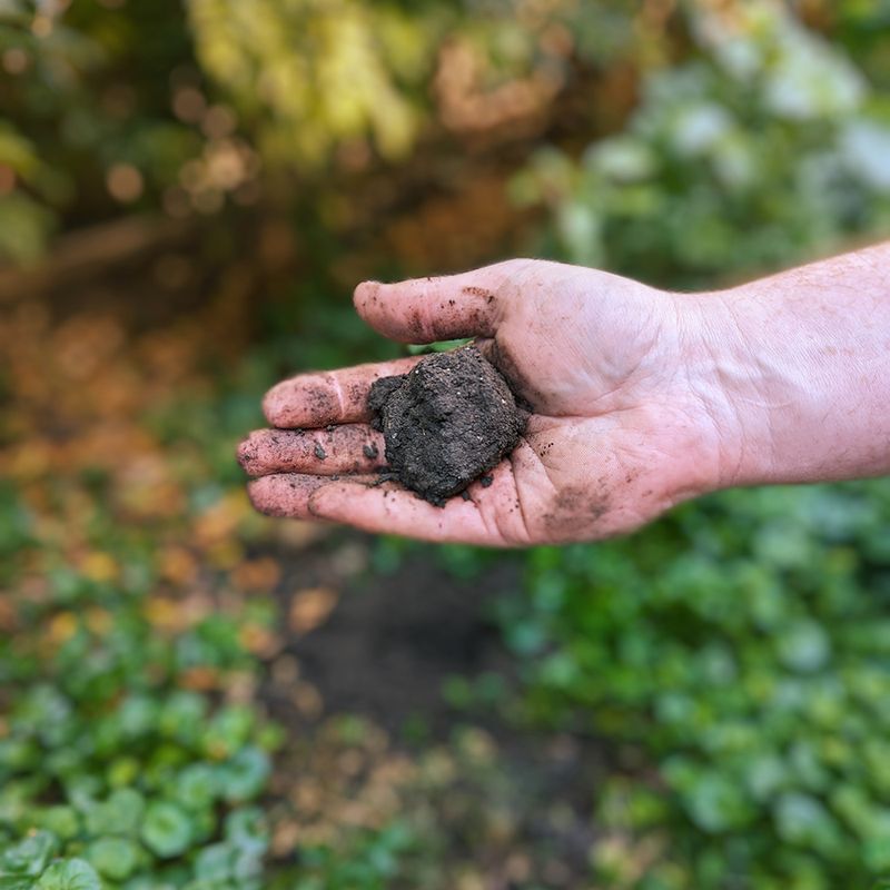 Squeeze A Handful Before You Grab A Shovel
