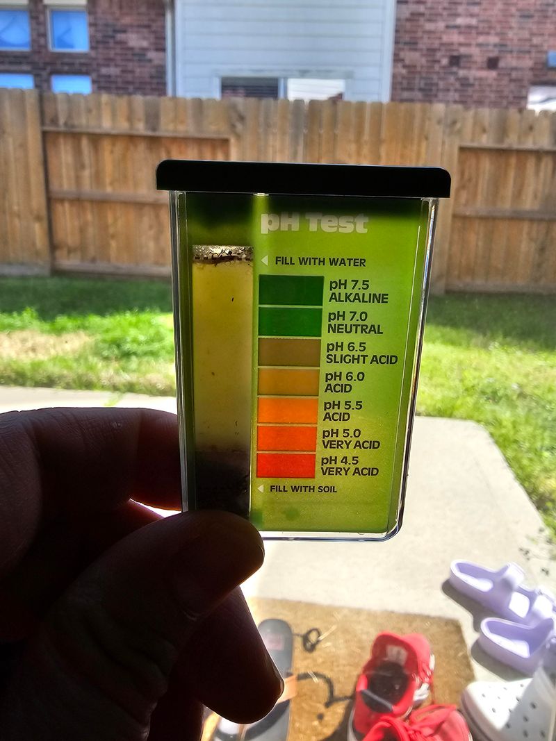 Testing Soil Before Choosing A Fertilizer