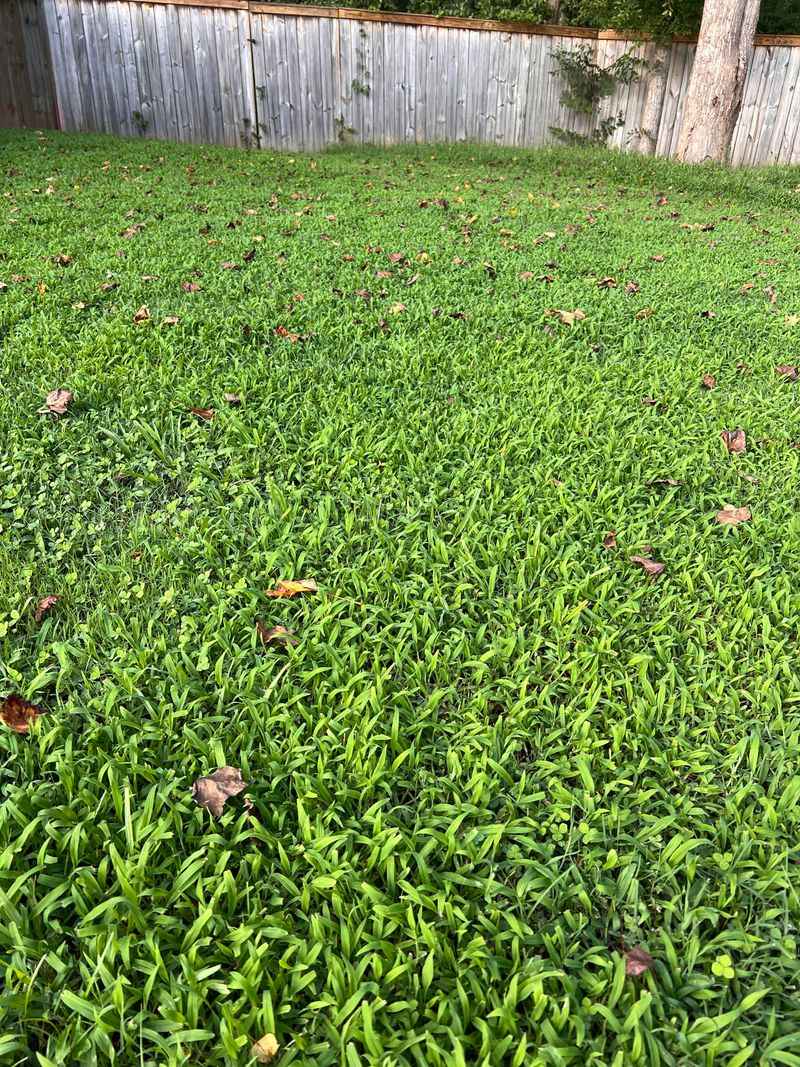 Target Regrowth With Post-Emergent Treatment