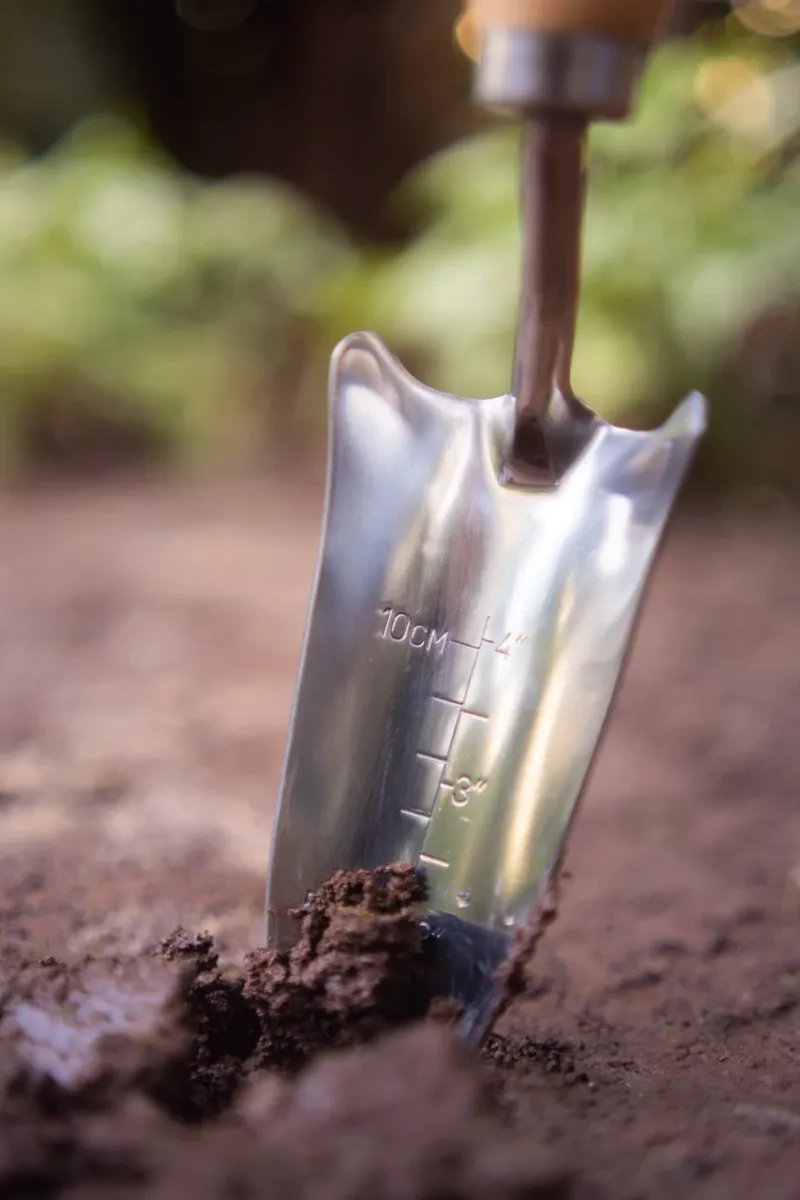 Use A Trowel Test Near The Bed Edge