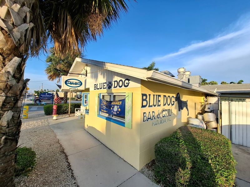 Blue Dog Bar & Grill