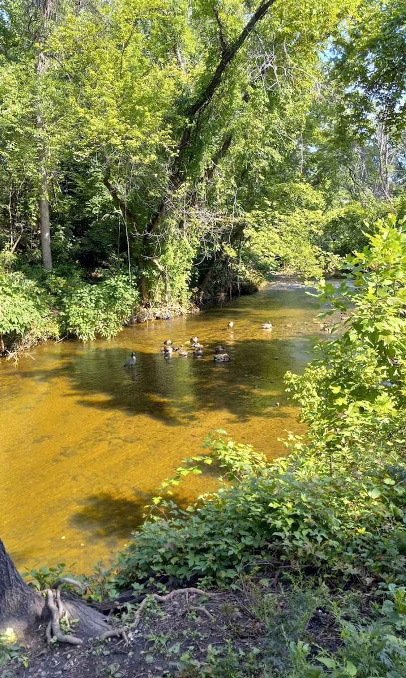 Darby Creek Trail