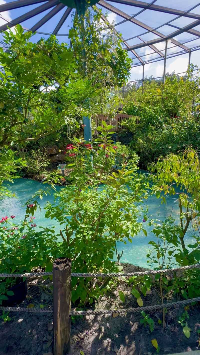 The Maze and Tranquil Walks