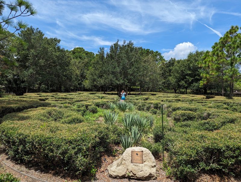 The Turtle-Shaped Maze Adventure