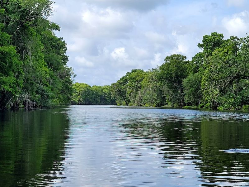 Paddling The St. Johns River