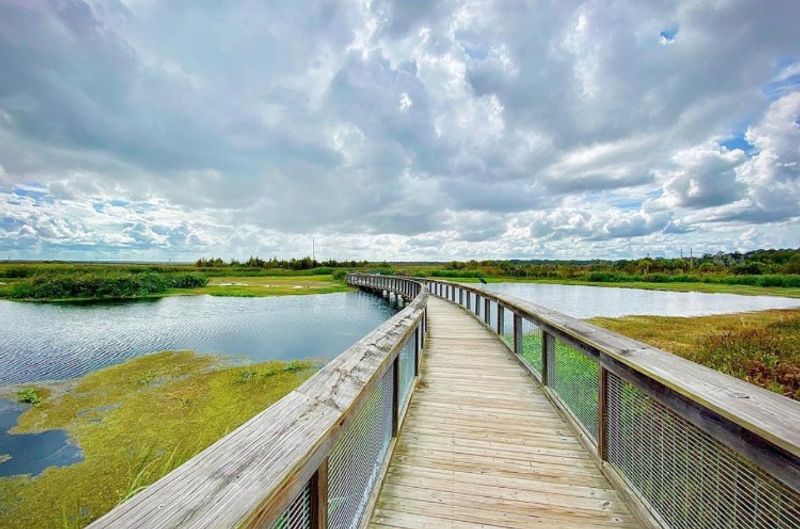 Sweetwater Wetlands Park (Gainesville)