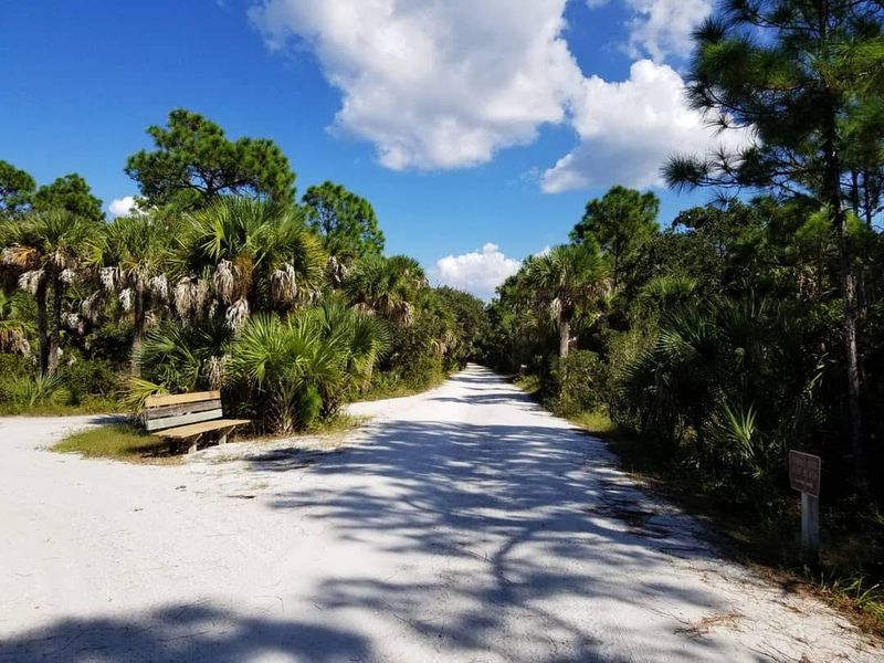 Hiking Trails Through Mangrove And Dune