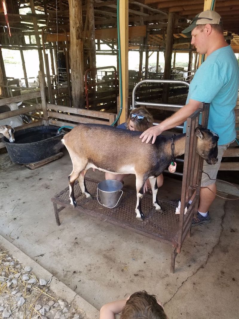 What to Expect From a Tour of the Farm