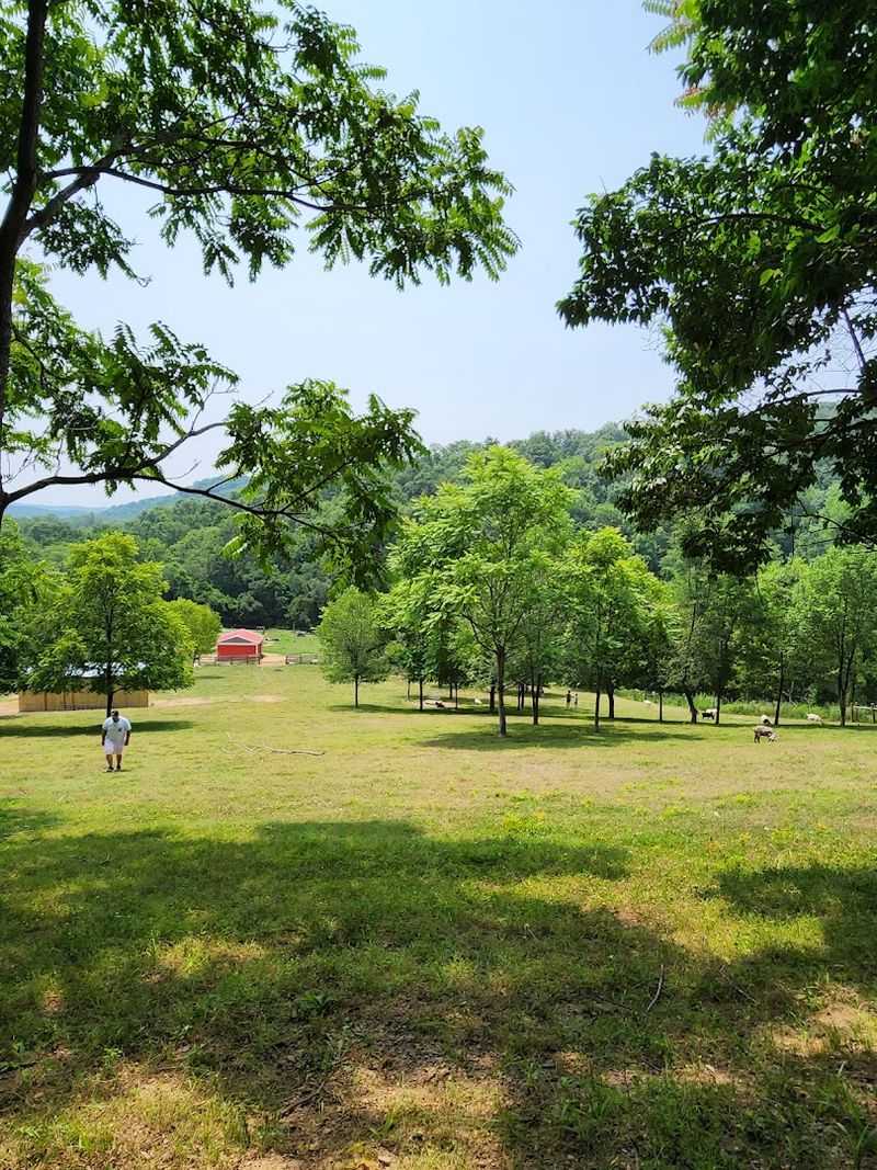 A peaceful sanctuary just outside Nashville