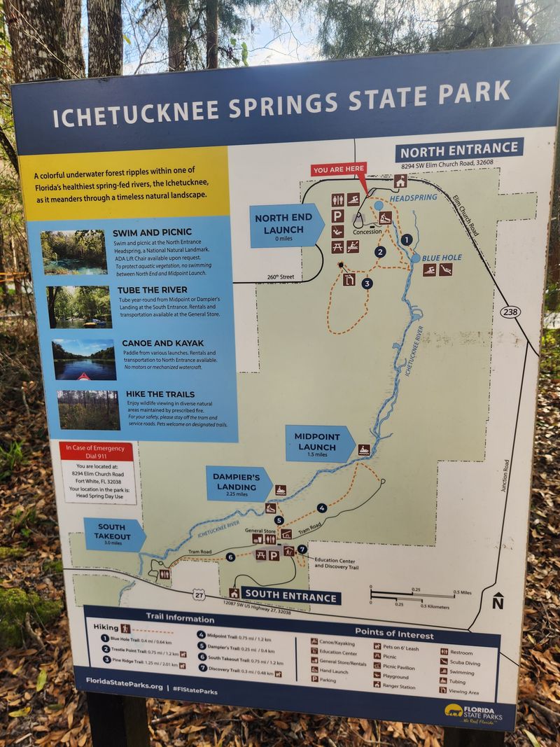 Where the Ichetucknee Is and Which Entrance to Use