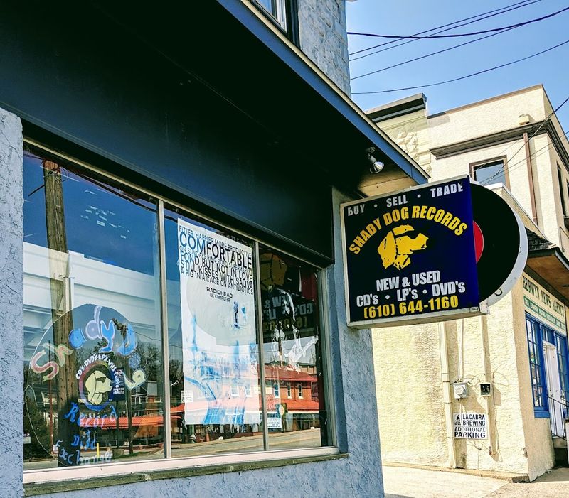 Shady Dog Record & Disc Exchange (Berwyn)