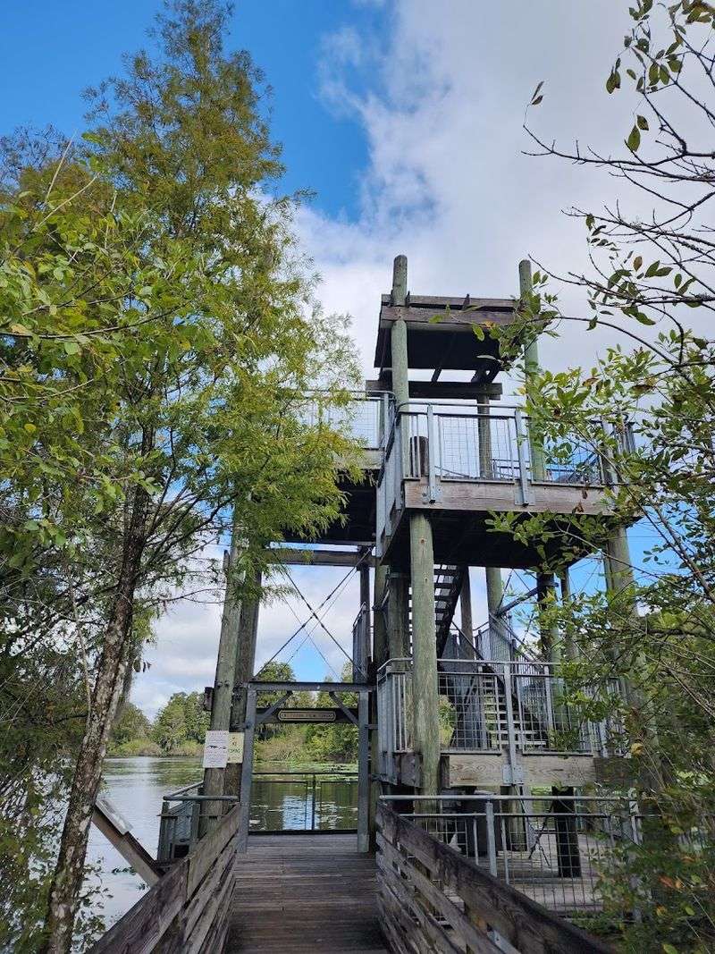 Lettuce Lake Conservation Park (Tampa)
