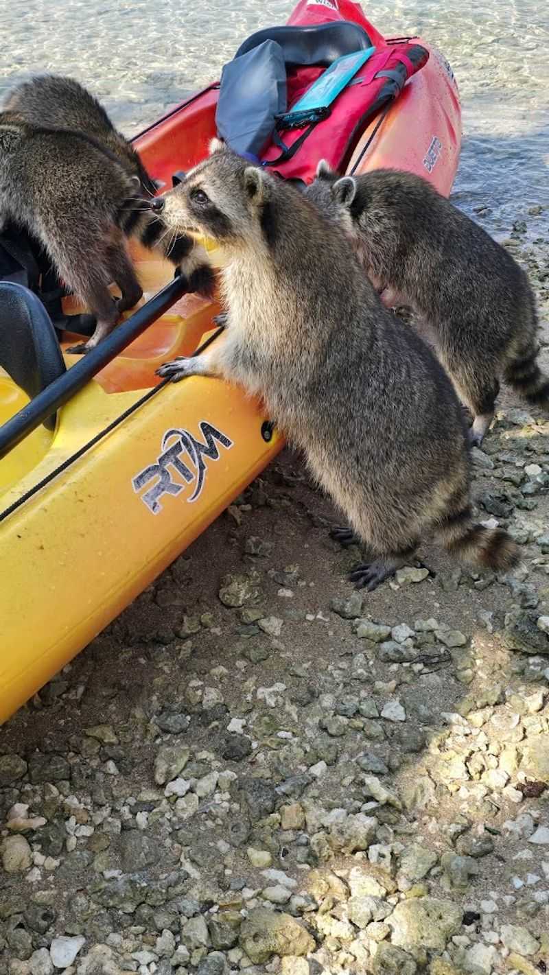 Timing Your Visit Changes Everything