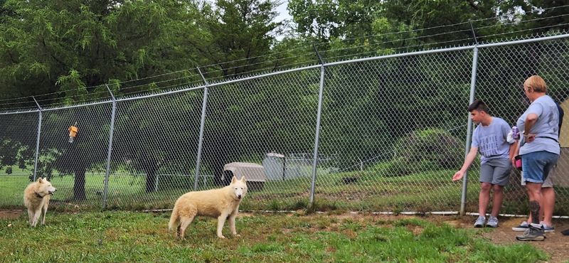 What It's Like to Visit the Sanctuary