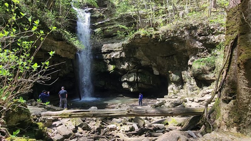What You'll See Along the Lost Creek Trailhead Hike