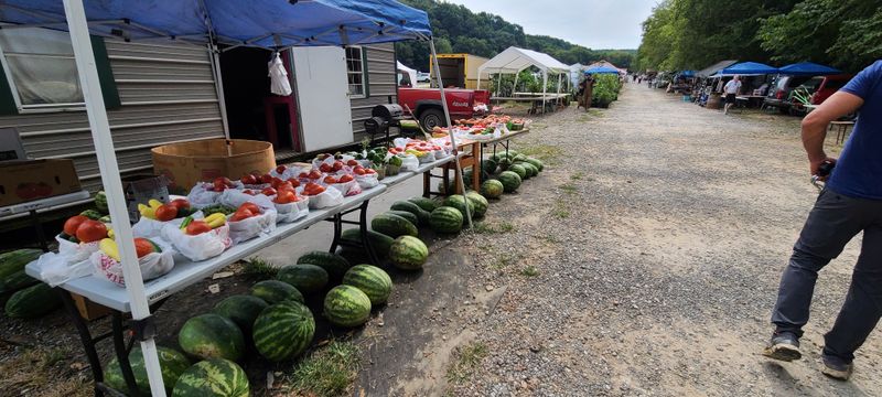 Planning Your Visit to Dog Days Flea Market