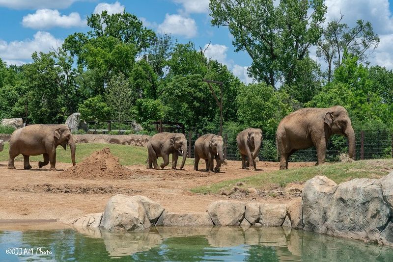 A Habitat That Breathes