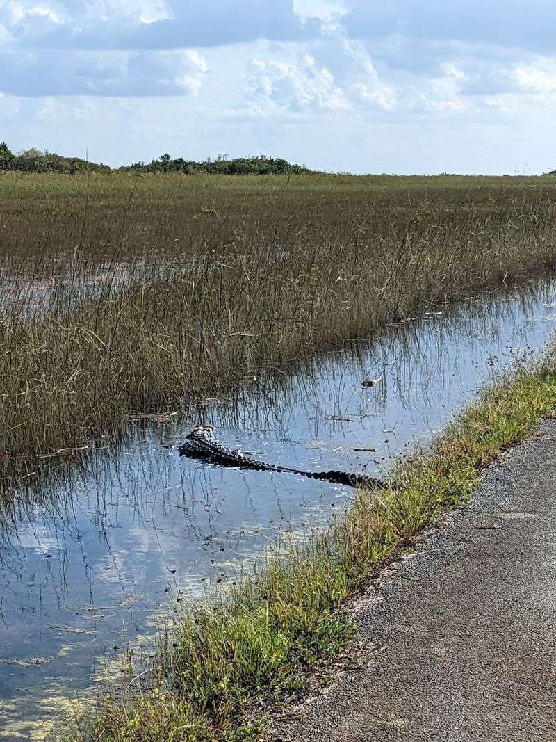 The Tram Tour Option: When Pedaling Takes a Back Seat