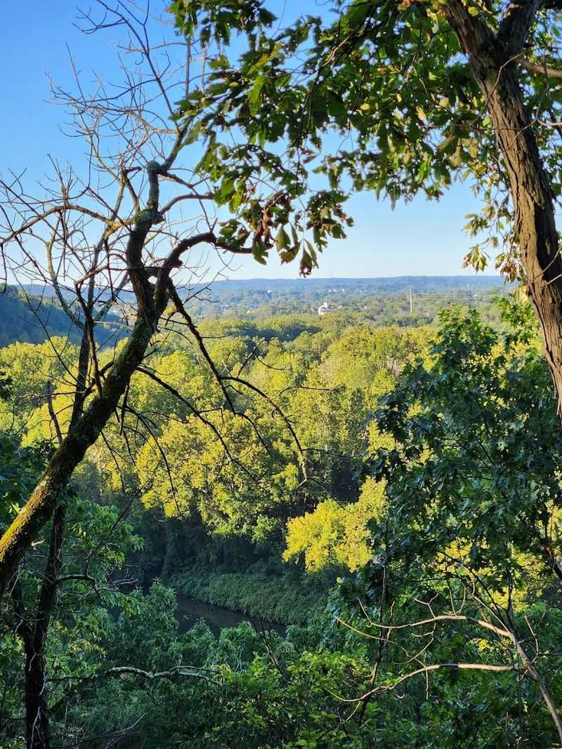 Planning Details and Local Etiquette