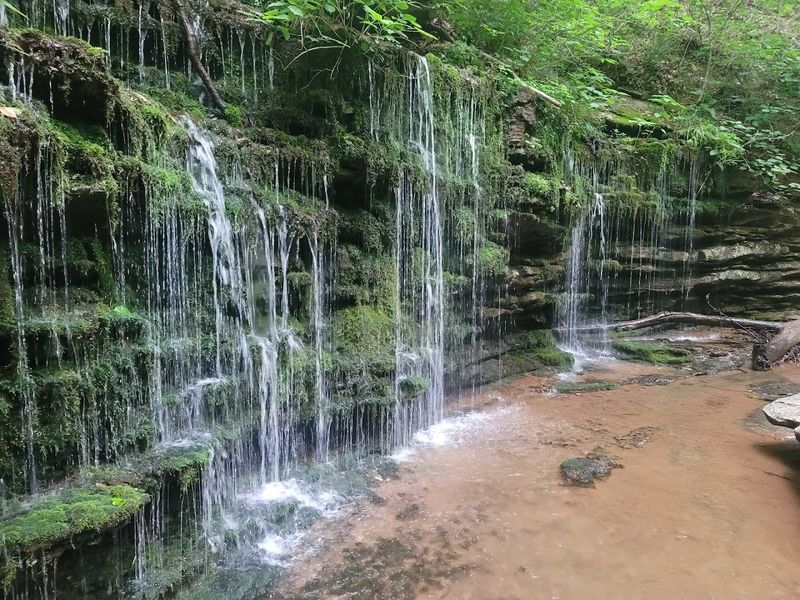 What Makes Winding Stairs Park Stand Out in Lafayette