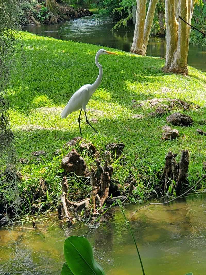 Wildlife Watching Paradise For Bird Lovers