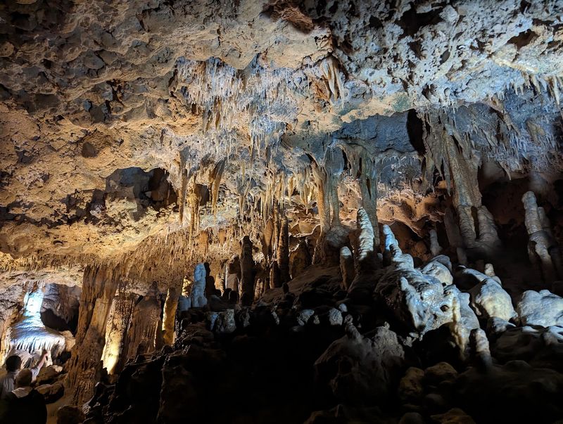 Florida Caverns Guided Cave Tour