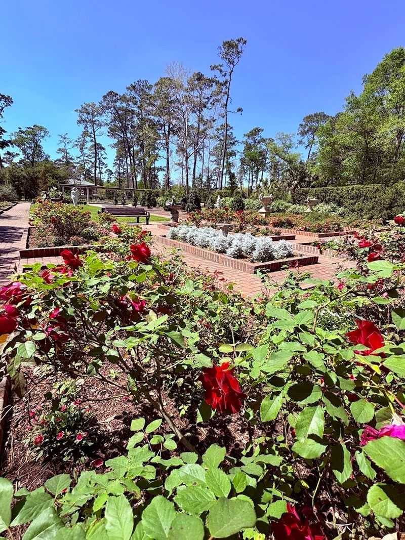 Themed Garden Sections Offer Distinct Experiences