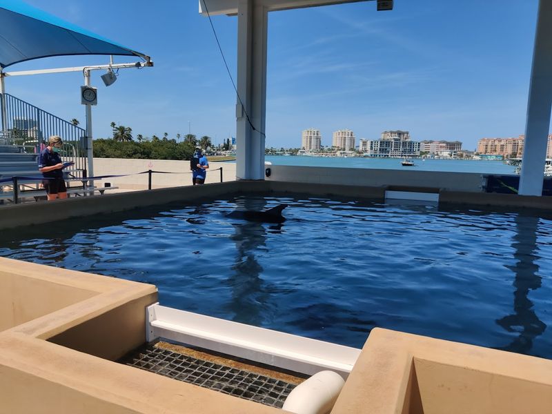 Conservation-Focused Mission Experience